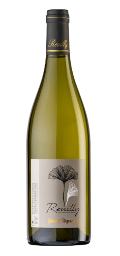 Vino Blanco de Baja Intervención - 100% Sauvignon Blanc - Reuilly