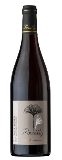 Vino Tinto de Baja Intervención - Pinot Noir 100% - Reuilly
